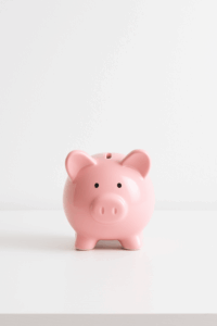 Fire Principle 1 - Save - piggy bank